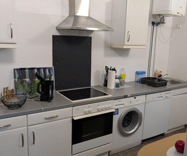 W403 - 3 Zimmer Loftwohnung  in Itzehoe