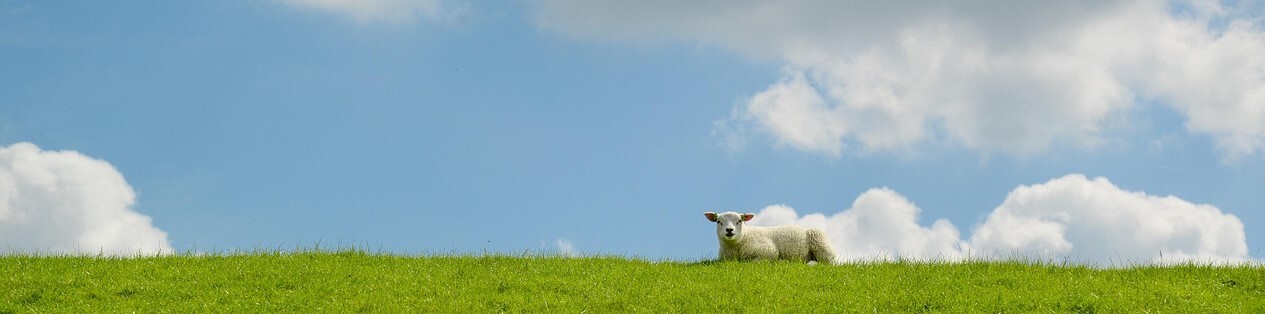 Seitenbild 3